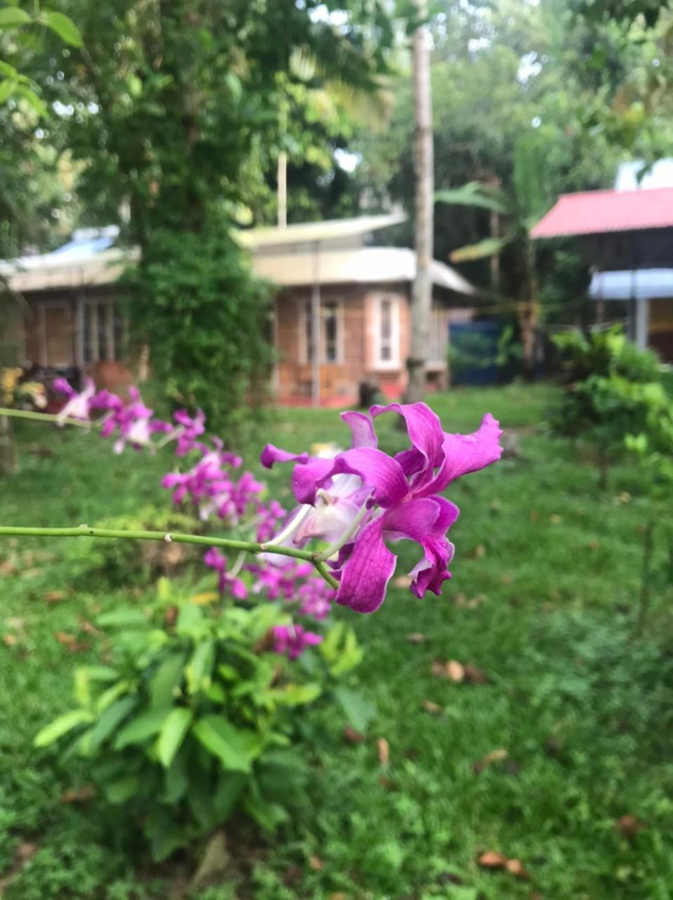 Ashtamudivillas كولاّم المظهر الخارجي الصورة