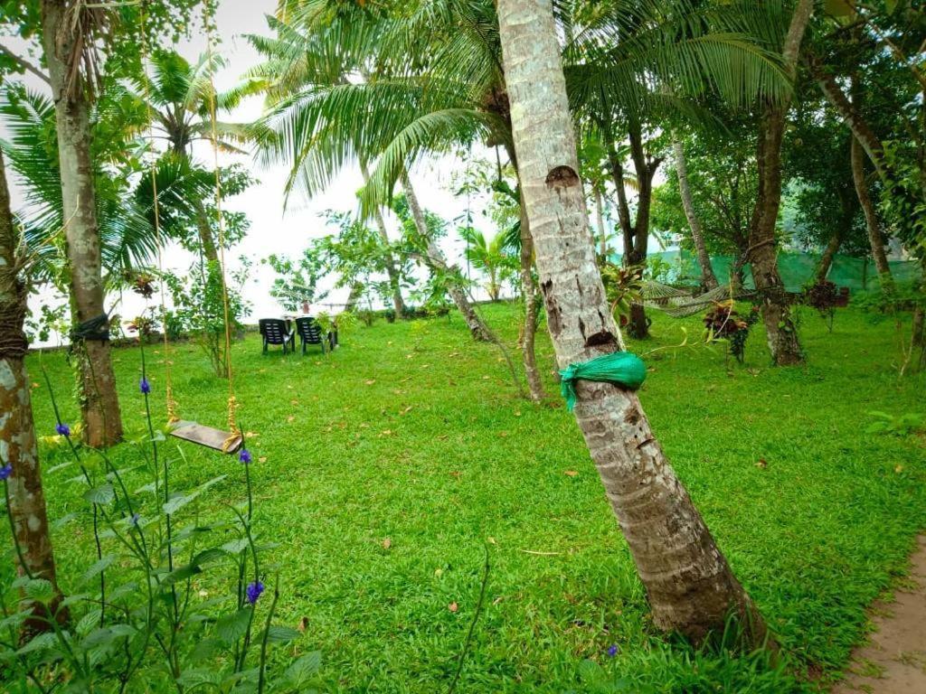 Ashtamudivillas كولاّم المظهر الخارجي الصورة
